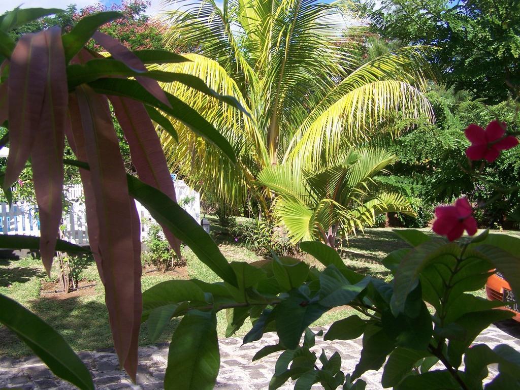 Bed And Breakfast Maison Papaye Ла-Ґулет Екстер'єр фото