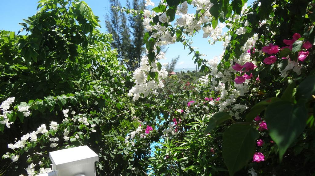 Bed And Breakfast Maison Papaye Ла-Ґулет Екстер'єр фото